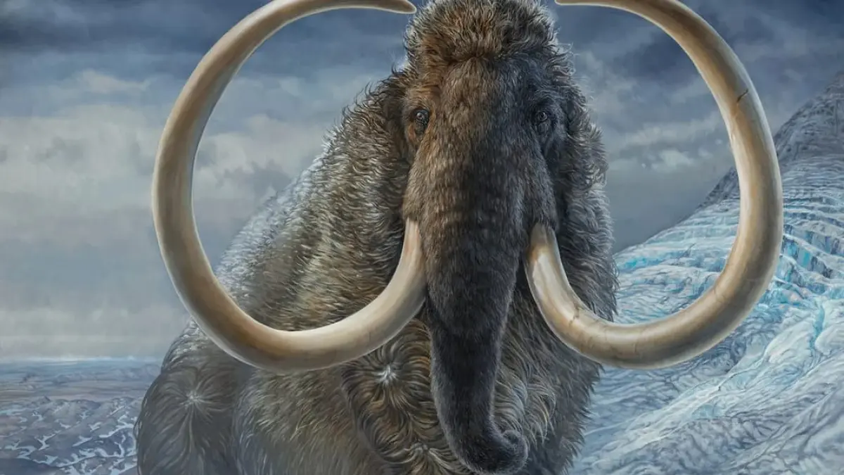 Mammoth (The Week)