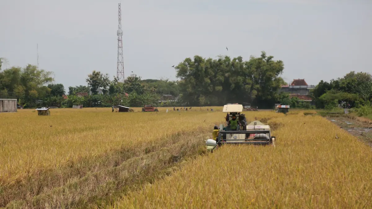Petani menerima bantuan alat mesin pertanian dari pemerintah untuk meningkatkan produktivitas lahan di tengah menyusutnya areal pertanian akibat alih fungsi lahan di Kota Madiun. BAGAS BIMANTARA/RADAR MADIUN