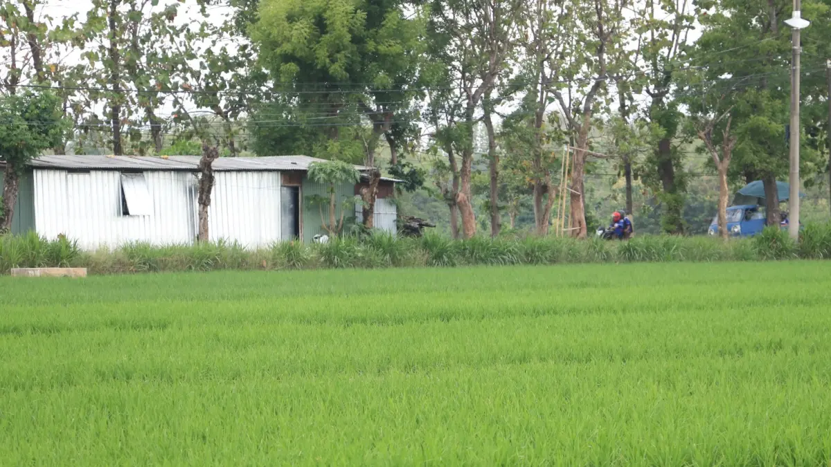 ASET DAERAH: Lahan seluas 5,7 hektare di selatan Sirkuit Jurang Gandul, Kelurahan Kadipaten, Kecamatan Babadan, disiapkan sebagai lokasi pembangunan Sekolah Rakyat. SUGENG DWI N/RADAR PONOROGO