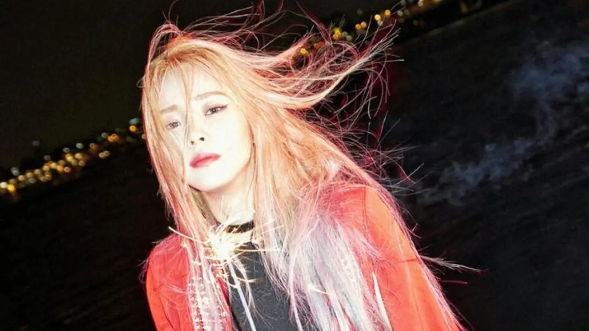 Heize, solois (Pinterest)