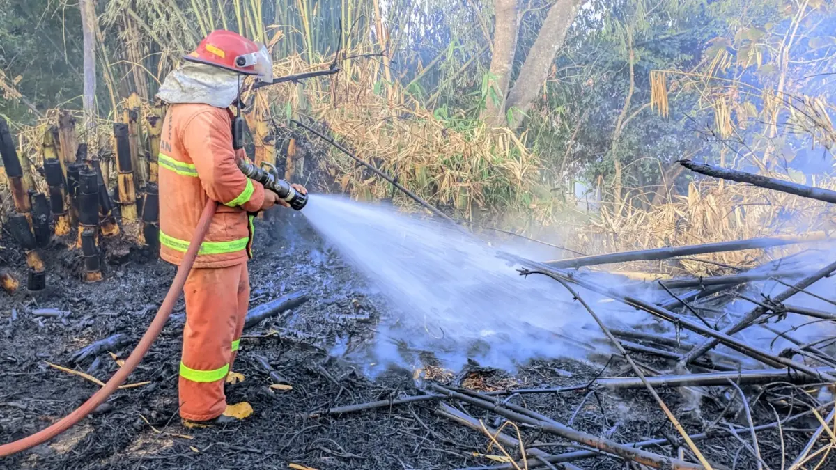 Petugas Damkar Kabupaten Magetan memadamkan kebakaran lahan bambu di Jalan Kawi, Kelurahan Bulukerto, yang diduga dipicu bara pembakaran sampah saat cuaca panas. FOTO: ISTIMEWA