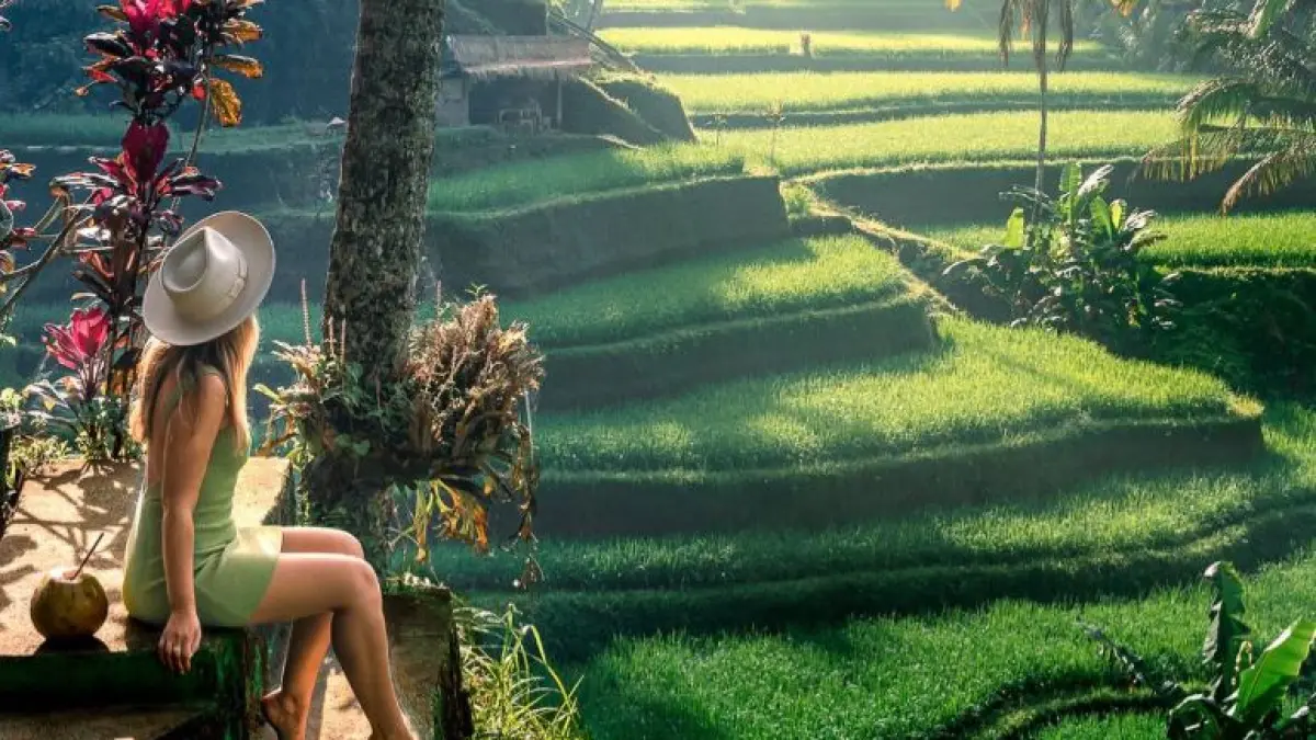 Tegalalang Rice Terrace di Bali jadi salah satu destinasi alam pemandangan sawah terbaik. (INSTAGRAM)