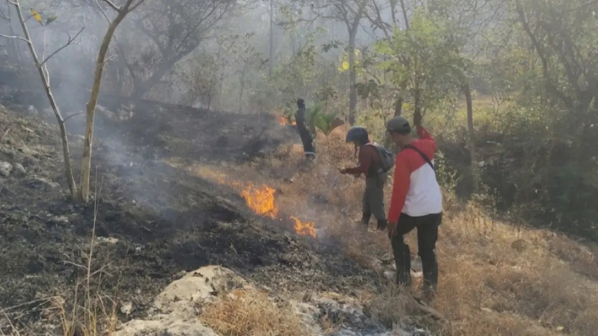 MEMBARA: Petugas BPBD Ponorogo bersama Perhutani dan warga melakukan pemadaman manual kebakaran hutan dan lahan di lereng Gunung Anggel, Desa Tulung, Kecamatan Sampung. SUGENG DWI N/RADAR PONOROGO