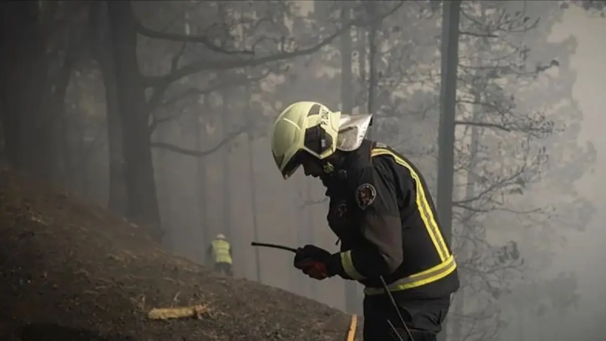 Petugas pemadam kebakaran terlihat di sebuah kawasan hutan yang terbakar. ANTARA/Anadolu/as