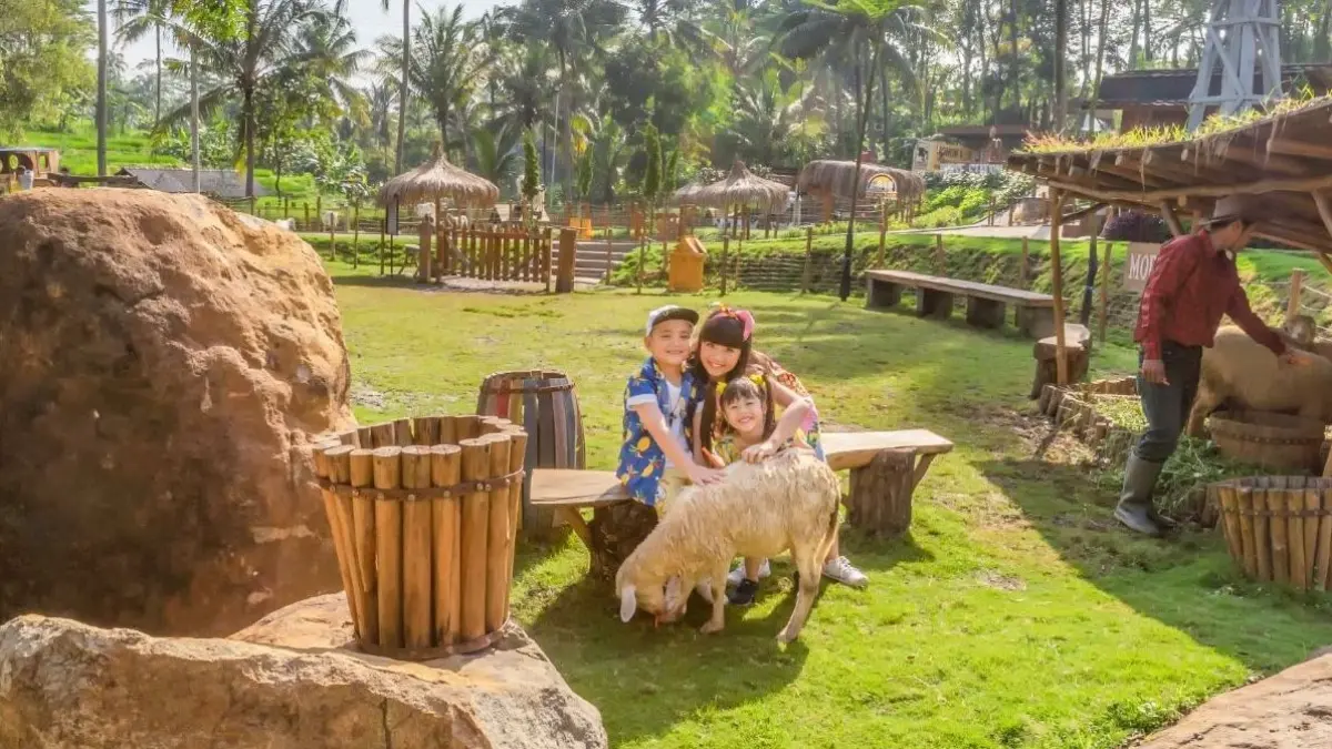 Dairyland on the Valley di Kabupaten Semarang, Jawa Tengah.