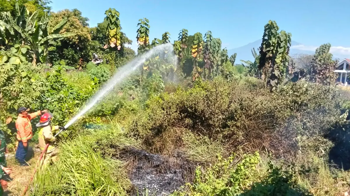 Petugas Satpol PP dan Damkar Magetan memadamkan kebakaran lahan yang terjadi pada Rabu (8/7). FOTO: DAMKAR MAGETAN