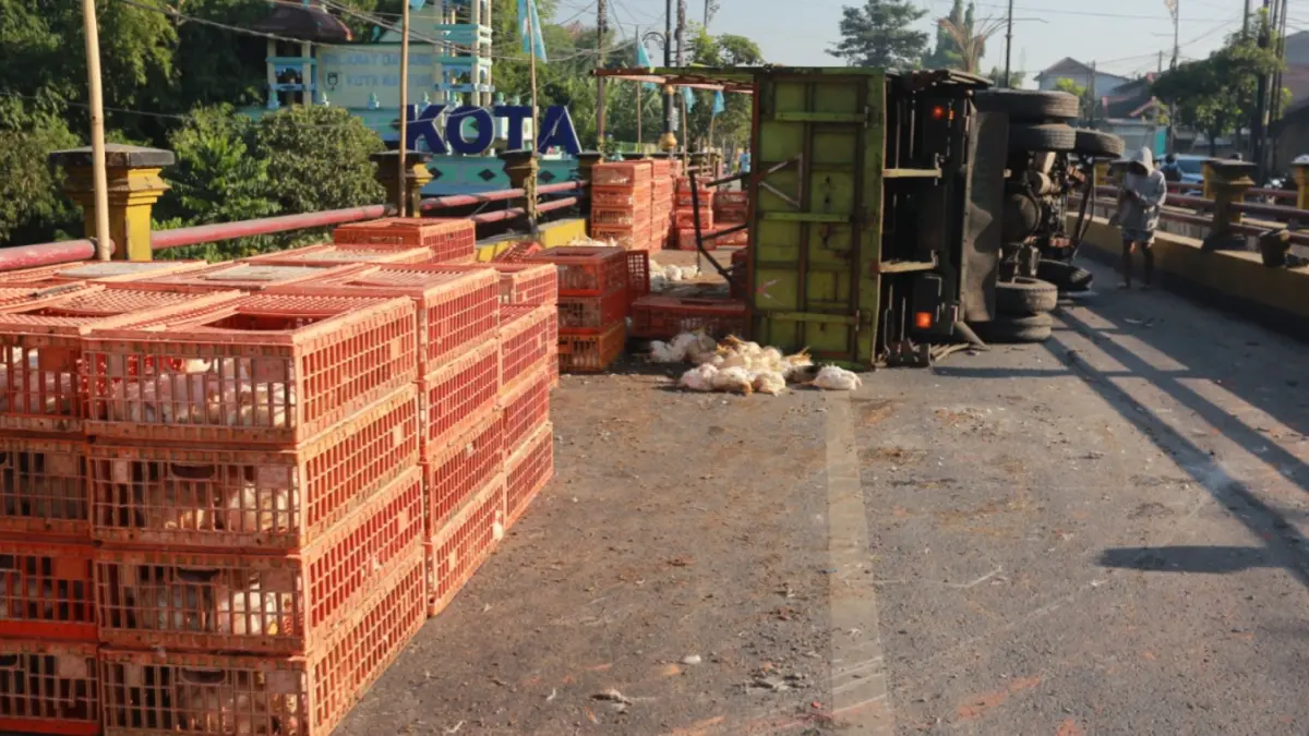 TRUK TERGULING: Truk bermuatan ayam potong melintang di Jembatan Catur, Kota Madiun, setelah menghantam median jalan dan menyerempet Bus Restu. BAGAS BIMANTARA/RADAR MADIUN
