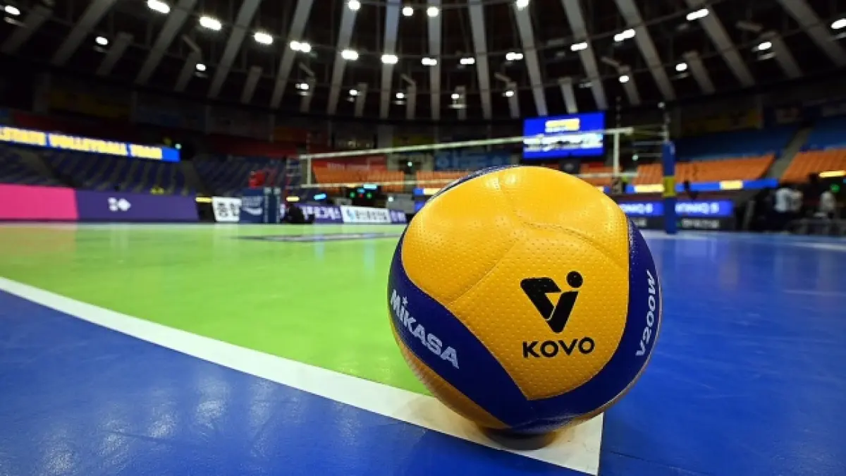 Ilustrasi V-League. (Sports Donga)
