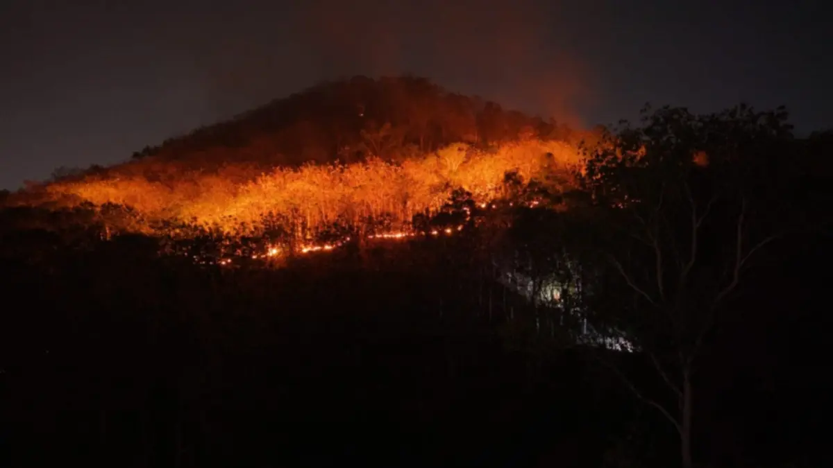 Kebakaran hutan dan lahan melanda kawasan Gunung Gombak, Desa Sukosari, Kecamatan Kauman, Ponorogo. Foto: BPBD PONOROGO