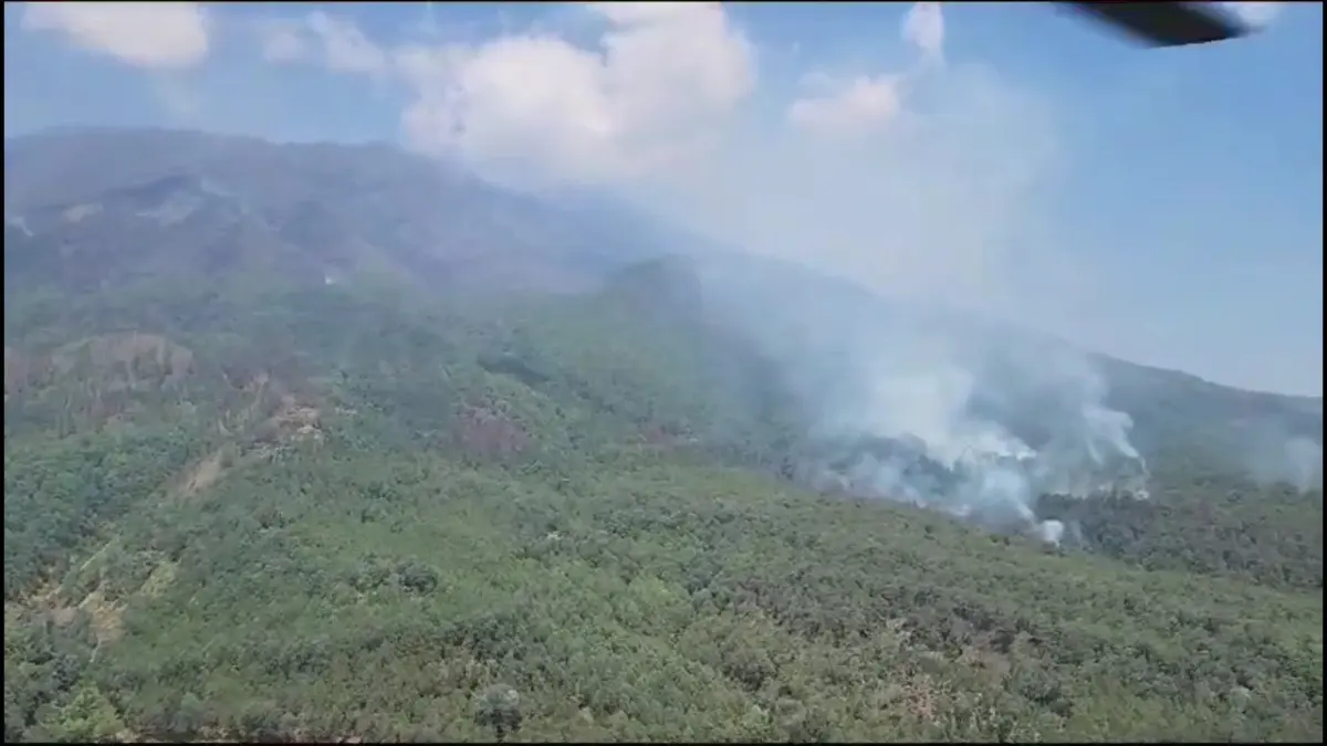 Kebakaran hutan Gunung Lawu pada 2023 menghanguskan sekitar 1.400 hektare kawasan hutan. Foto: DOKUMEN JAWA POS RADAR NGAWI