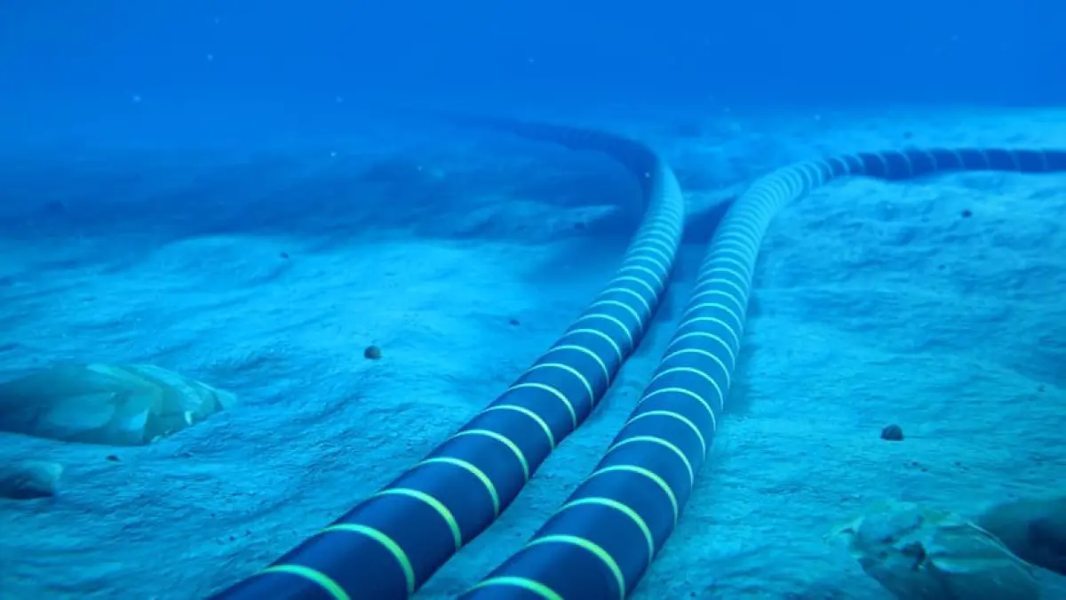 Foto arsip kabel bawah laut yang terhampar di dasar laut. (cna.id)
