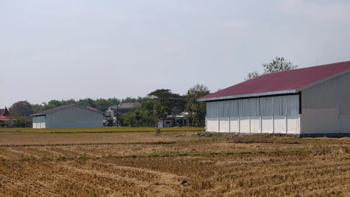 Lokasi KDKMP Desa Pengkol dan Desa Bringin di Kecamatan Kauman, Ponorogo, yang berdekatan hingga menjadi sorotan publik. SUGENG DWI N/RADAR PONOROGO