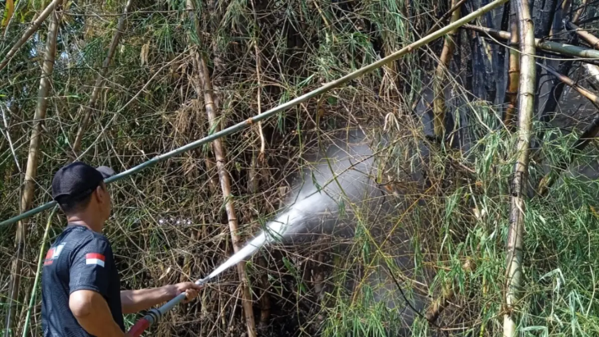 Petugas Satpol PP dan Damkar Ponorogo berjibaku memadamkan kebakaran rumpun bambu yang meningkat saat musim kemarau. FOTO: ISTIMEWA