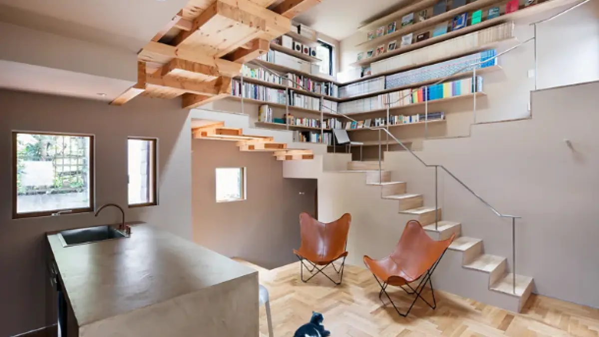 Cat House (BBC)