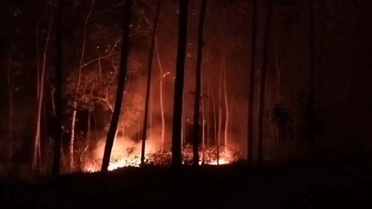 DAMPAK KEMARAU: Petugas gabungan bersama warga memadamkan kebakaran hutan dan lahan di kawasan hutan jati Perhutani, Kecamatan Sampung, Ponorogo, Rabu (22/7). 