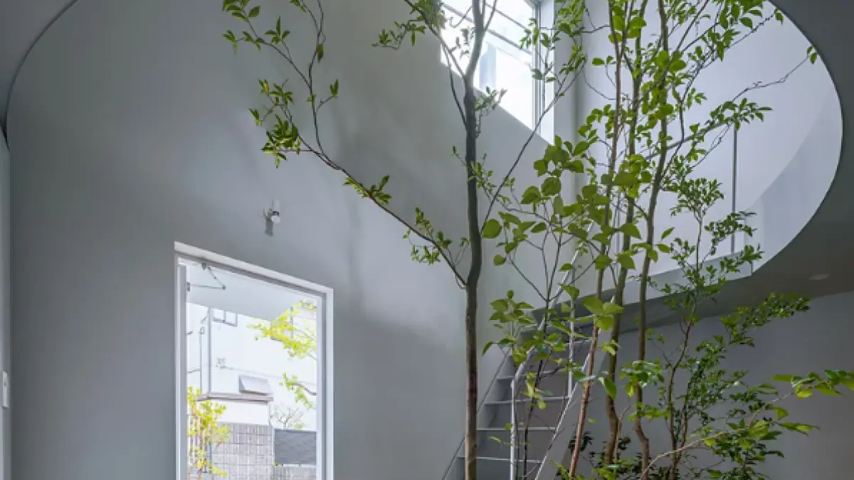 House with Membrane Roof (BBC)