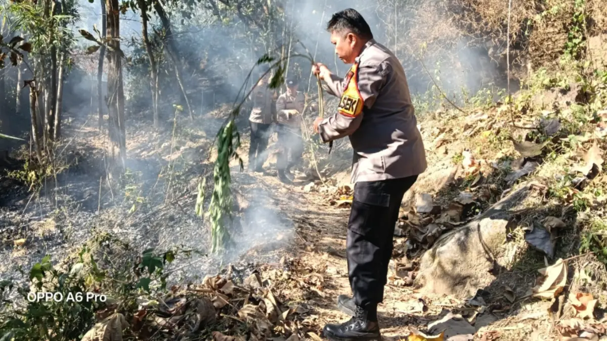 KARHUTLA: Petugas kepolisian bersama warga memadamkan kebakaran hutan rakyat di Dusun Tenggaran, Desa Arjosari, Kecamatan Arjosari, Pacitan, Selasa (21/7). 