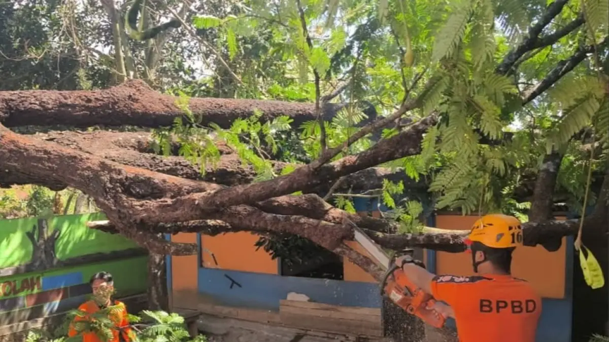 EVAKUASI: Personel gabungan mengevakuasi material pohon petai yang tumbang dan menimpa kantin serta musala SDN Tapak, Kecamatan Panekan. AJI PUTRA/RADAR MAGETAN
