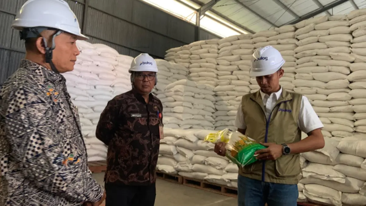 UJI KUALITAS: Petugas Perum Bulog Madiun bersama tim Pemkab Madiun melakukan uji organoleptik dan uji tanak beras Cadangan Beras Pemerintah (CBP) di Kompleks Pergudangan Jeruk Gulung, Balerejo. DOK RADAR MADIUN