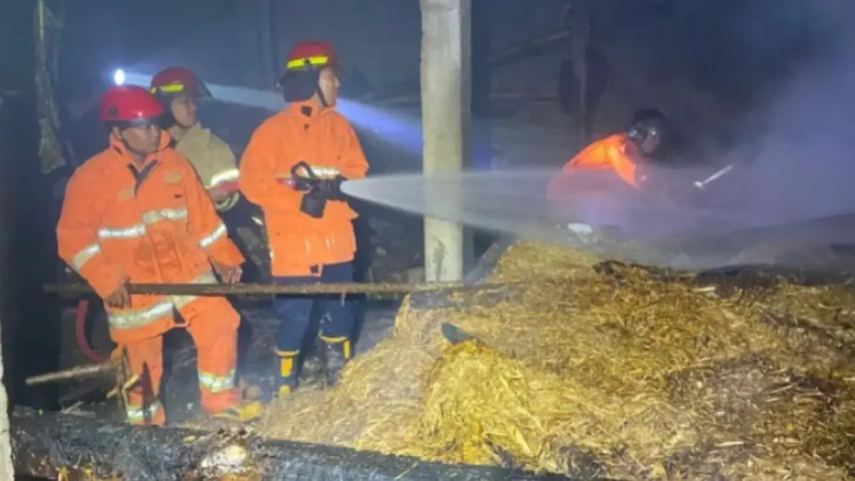 PADAMKAN API: Petugas Satpol PP dan Damkar Pacitan melakukan pemadaman serta pendinginan di gudang penyimpanan jerami yang terbakar di Desa Tanjungsari.