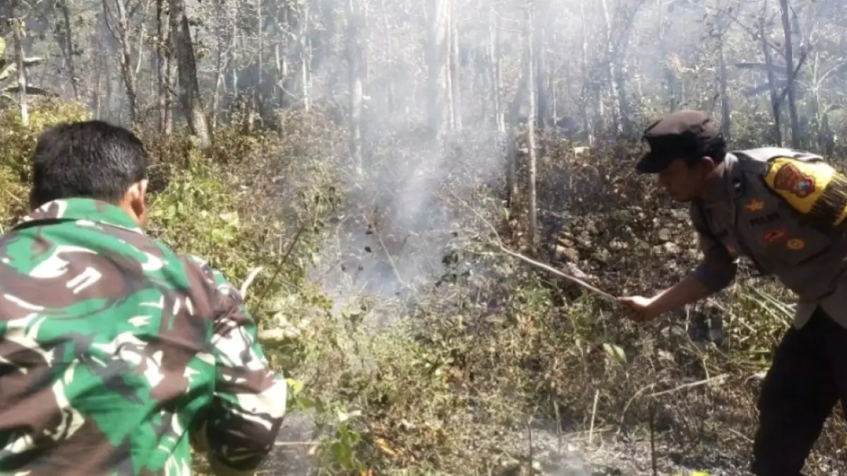 PADAMKAN KARHUTLA: Petugas gabungan memadamkan kebakaran hutan dan lahan di Bukit Gogor, Desa Kuniran, Kecamatan Sine, Kabupaten Ngawi. ASEP SYAEFUL/RADAR NGAWI