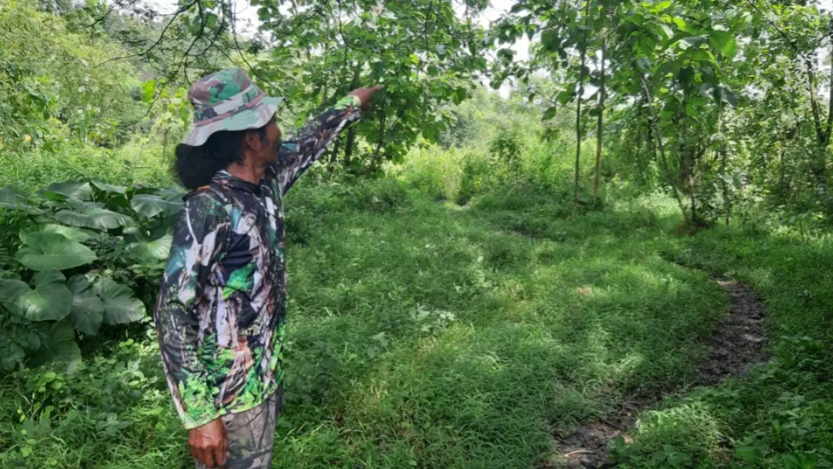 SIAPKAN LAHAN: Warga menunjukkan lokasi calon pemakaman umum di Kelurahan Margomulyo, Kabupaten Ngawi.