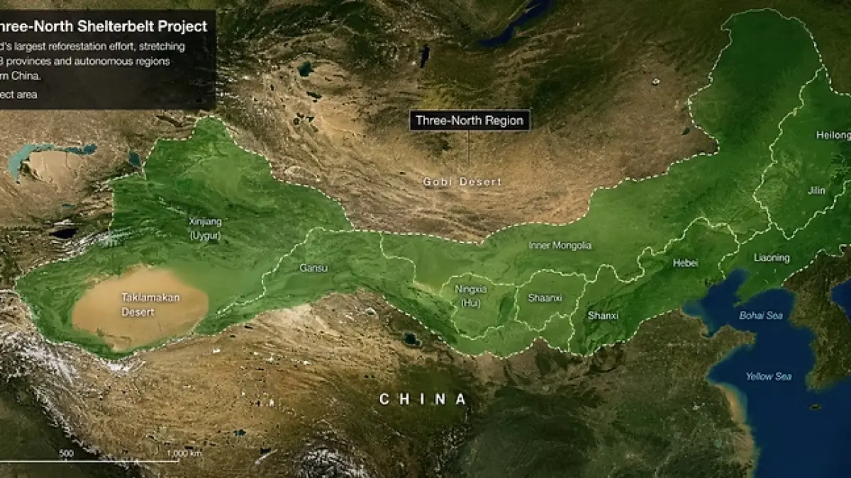 AI-generated illustrative image: This satellite-style visual has been created using artificial intelligence to help readers understand the approximate geographical extent of China’s Three-North Shelter Forest Program. It is intended for illustrative purposes only. The highlighted area and its boundaries are indicative and should not be interpreted as an exact cartographic representation of the project’s official extent. (globalsociety.earth)