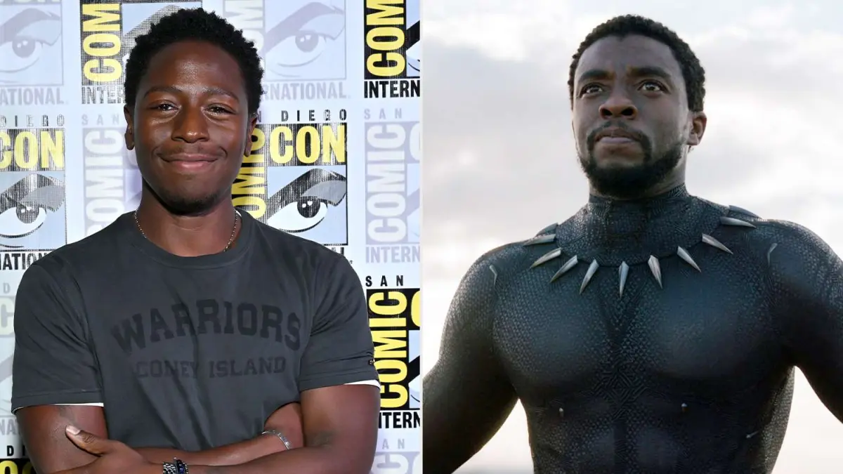 Black Panther 3 Cast Reveal, Announcement of The New Black Panther (People.com)