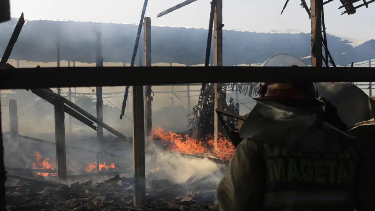LUDES TERBAKAR: Petugas pemadam kebakaran berjibaku memadamkan api yang melalap kandang ayam broiler di Kelurahan Lembeyan Kulon, Kecamatan Lembeyan. AJI PUTRA/RADAR MAGETAN