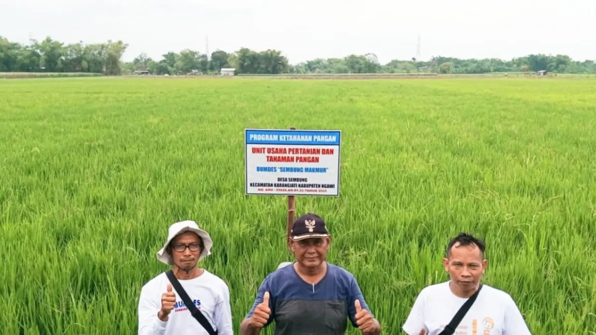 Kepala Desa Sembung bersama jajaran manajemen Bumdes Sembung Makmur foto bersama di area sawah pada musim tanam ke tiga beberapa waktu lalu.