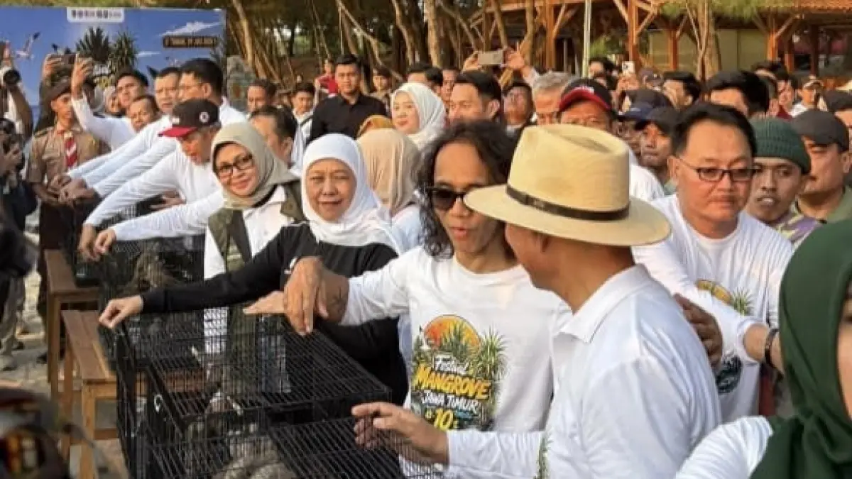 KONSERVASI PESISIR: Pantai Panduri menjadi lokasi Festival Mangrove Jawa Timur ke-10 sebagai apresiasi atas keberhasilan program CSR Pertamina FT Tuban.