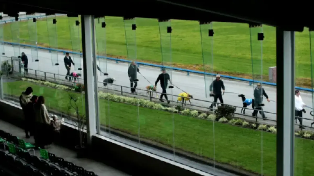 Owners gathered at Manukau Stadium, Auckland, for one of the final meets in June. (BBC)