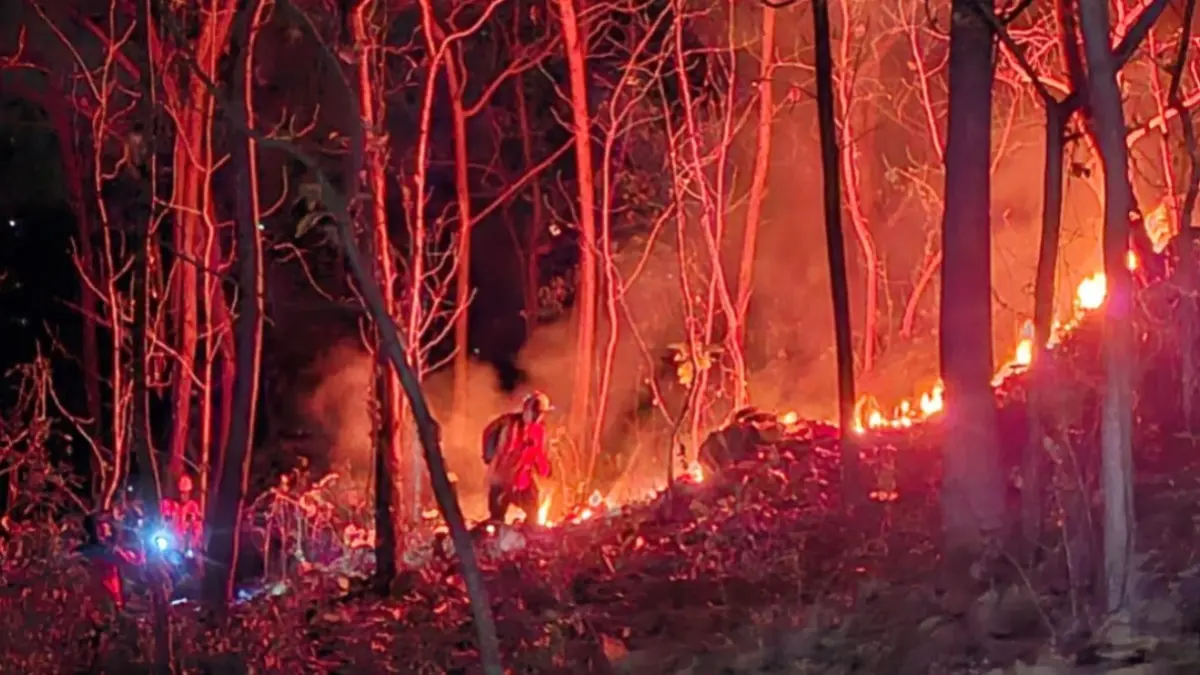 UPAYA PEMADAMAN: Petugas BPBD Ponorogo bersama warga berupaya memadamkan kebakaran hutan dan lahan yang meluas dari Desa Tatung ke kawasan Sukosari.