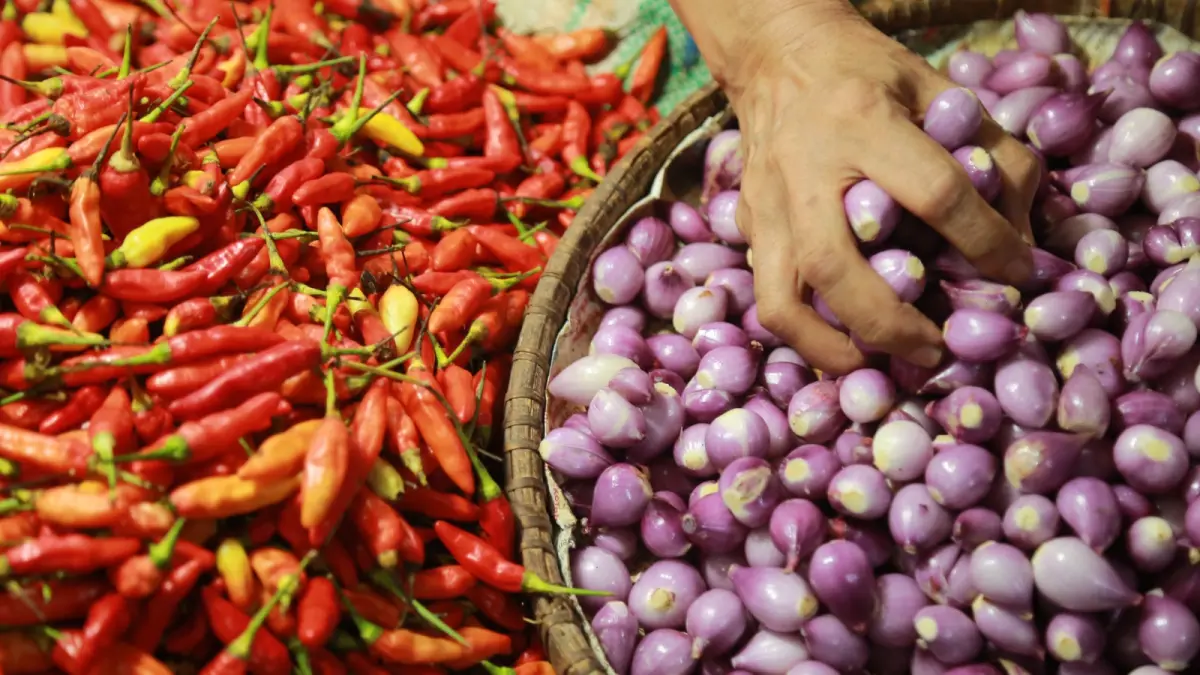 HARGA TURUN: Melimpahnya pasokan bawang merah dan sejumlah komoditas hortikultura saat panen raya mendorong Kota Madiun kembali mengalami deflasi pada Juli 2026. FOTO: BAGAS BIMANTARA/JAWA POS RADAR MADIUN