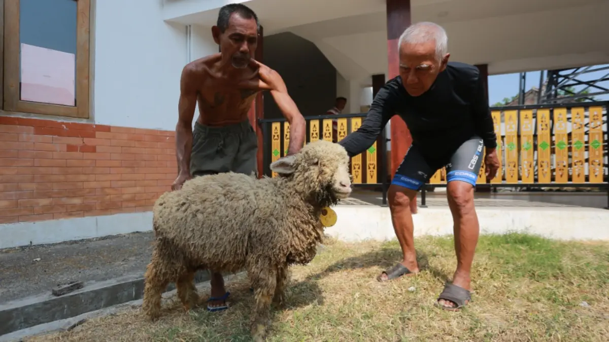 TELATEN: Penghuni Pondok Lansia Kota Madiun merawat ternak dan tanaman sebagai bagian dari program pemberdayaan. FOTO: BAGAS BIMANTARA/JAWA POS RADAR MADIUN