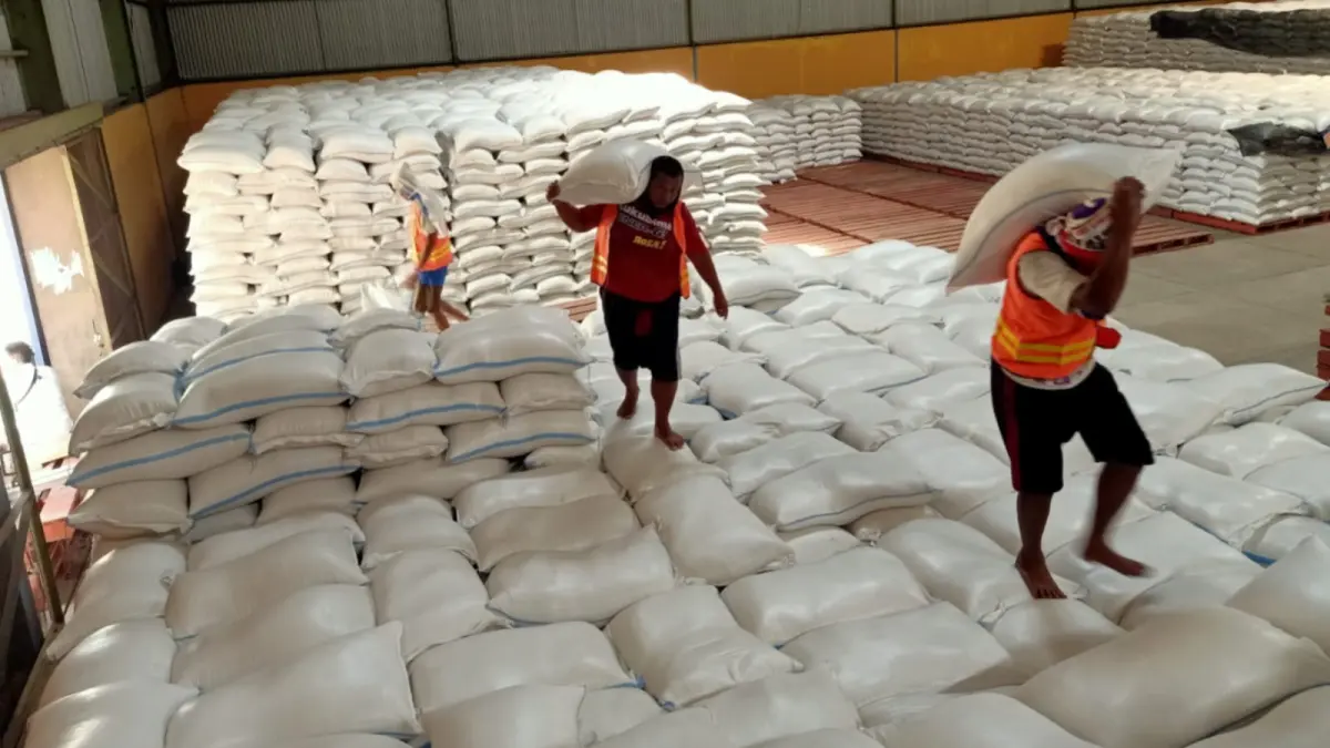 Bulog terus menyerap gabah petani di wilayah Ponorogo dan Pacitan. Hingga akhir Juli, realisasi serapan telah mencapai 92,5 persen dari target tahun 2026. Foto: Nur Cahyono/Jawa Pos Radar Pacitan