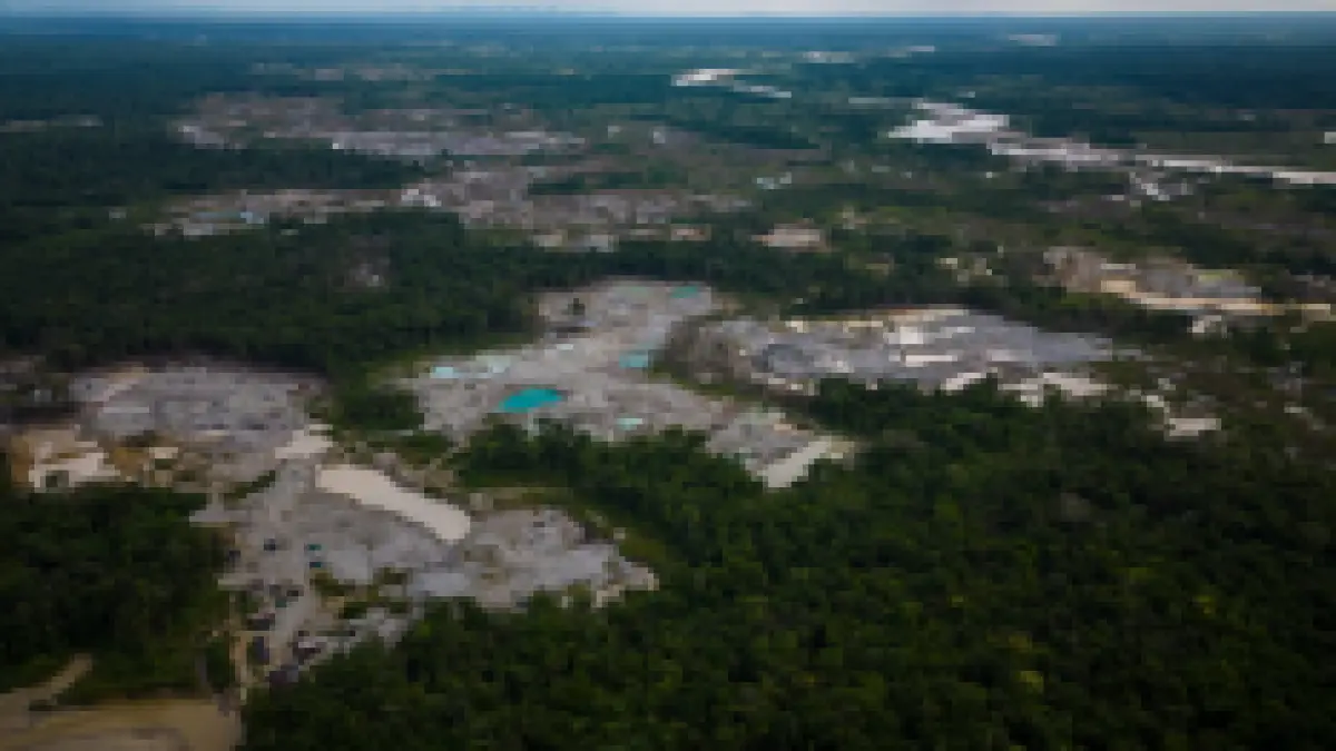 Foto udara memperlihatkan kawasan hutan Amazon yang berbatasan dengan area pembukaan lahan. (ABC News)