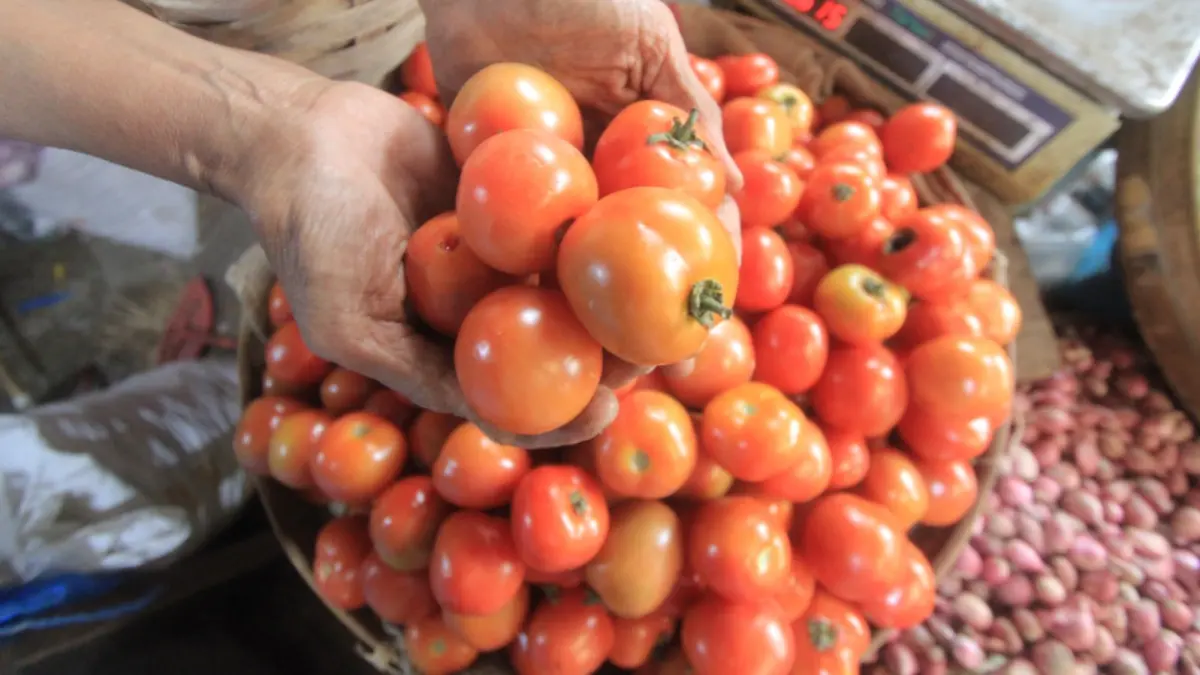 Harga tomat di Pasar Sayur Magetan turun hingga Rp 4 ribu per kilogram akibat melimpahnya pasokan saat panen raya. Foto: Aji Putra/Radar Magetan