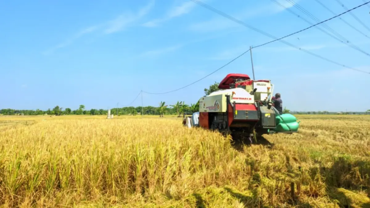 Pemkab Madiun menyiapkan bantuan 30 titik sumur bor di 15 kecamatan sebagai langkah antisipasi kekeringan dan menjaga produktivitas pertanian. Foto: Loditya F/Radar Caruban