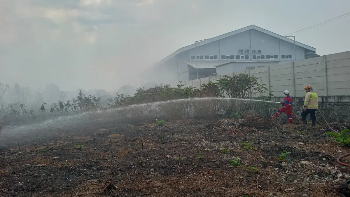 Petugas Damkar Kota Madiun memadamkan kebakaran lahan yang terjadi saat musim kemarau. Foto: Satpol PP dan Damkar Kota Madiun