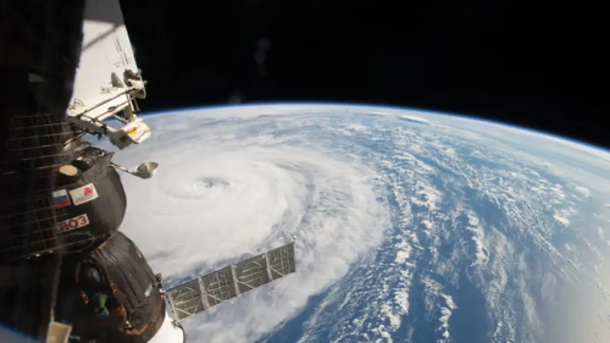A tropical cyclone could one day be called Typhoon Dim-sum after the name was submitted by Hong Kong. (The Guardian)