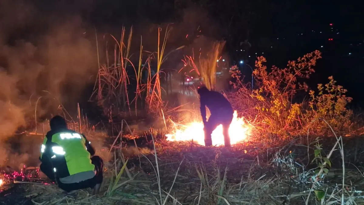 DAMPAK KEMARAU: Sekitar dua hektare lahan tebu di Desa Plunturan, Kecamatan Pulung, Ponorogo, ludes terbakar Rabu malam (5/8). 
