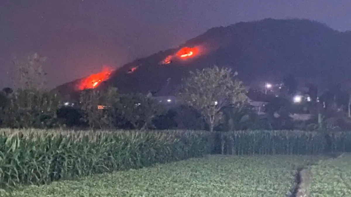 Detik-detik kebakaran melanda hutan rakyat di Desa Bungkuk dan Mategal, Parang, Magetan. Sekitar lima hektare lahan terbakar.