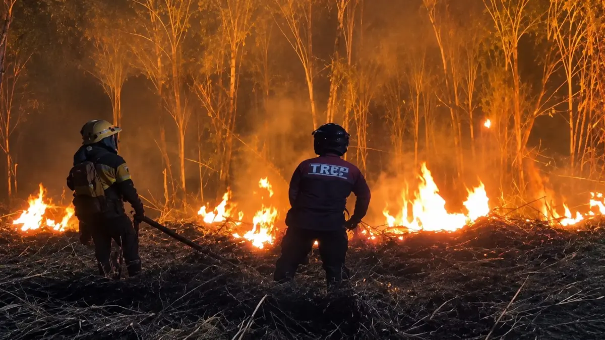 MEMBARA: Petugas Satpol PP dan Damkar Ponorogo berjibaku memadamkan kebakaran lahan tebu di Desa Brahu, Siman, Sabtu malam (8/8). (Sugeng Dwi N./Jawa Pos Radar Ponorogo)