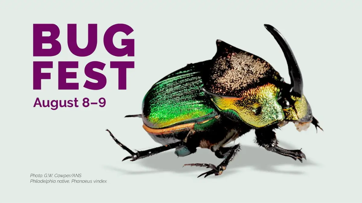 Poster official Bug Fest di laman Academy of Natural Sciences (ANSP)