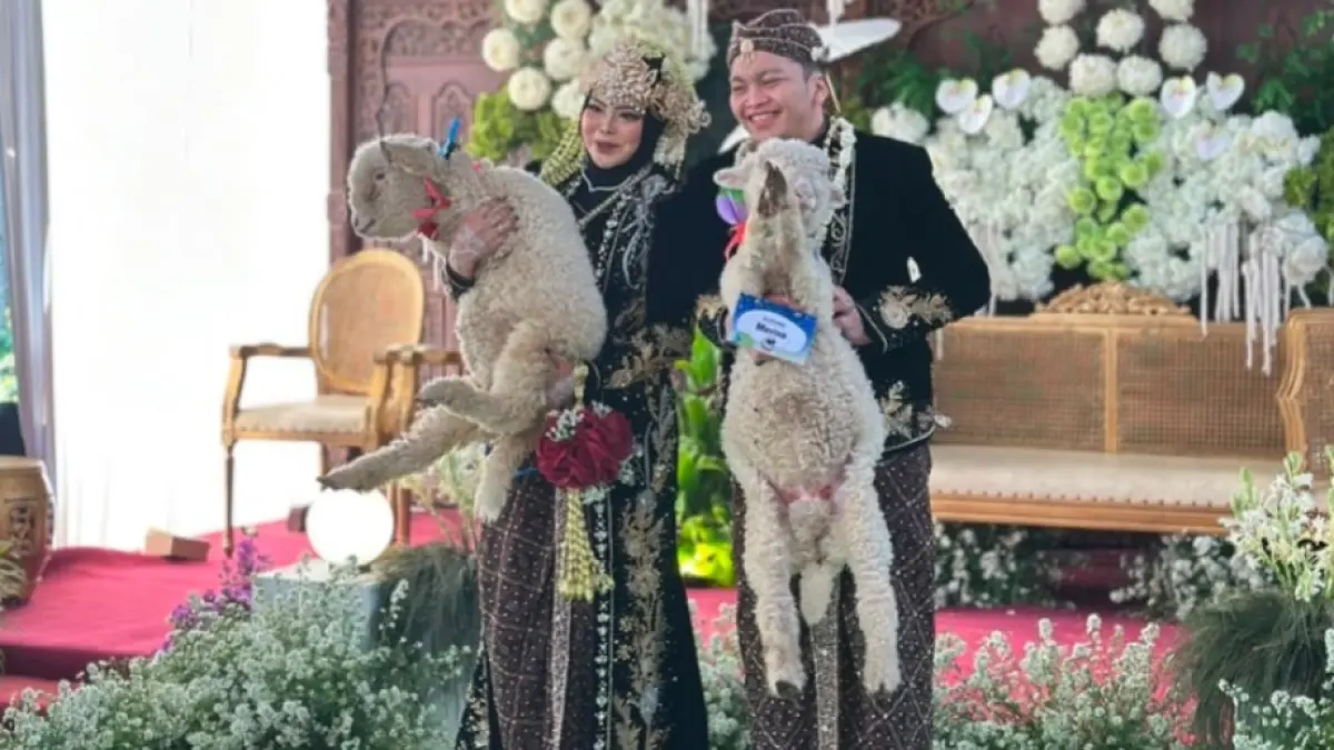 SESERAHAN UNIK: Malindo Agus Sutrisno menggotong domba Merino yang dijadikan seserahan untuk istrinya, Wilujeng Sinu Utami, saat pesta pernikahan di Desa Paringan, Jenangan, Jumat (7/8).