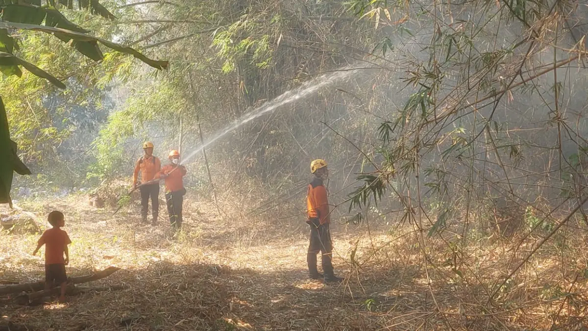KARHUTLA: Petugas memadamkan kebakaran lahan sekitar tujuh hektare di Desa Kuwu, Balerejo, Rabu (12/8). Api sempat merembet mendekati permukiman warga. (DIAN RAHAYU/RADAR CARUBAN)
