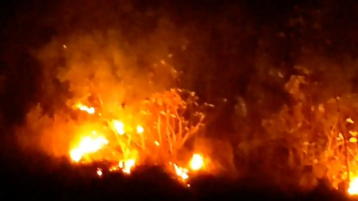 MEMBARA: Kobaran api menghanguskan sekitar dua hektare lahan dan hutan jati di Desa Mentoro, Kecamatan Pacitan, Selasa (11/8) malam. (DAMKAR PACITAN)