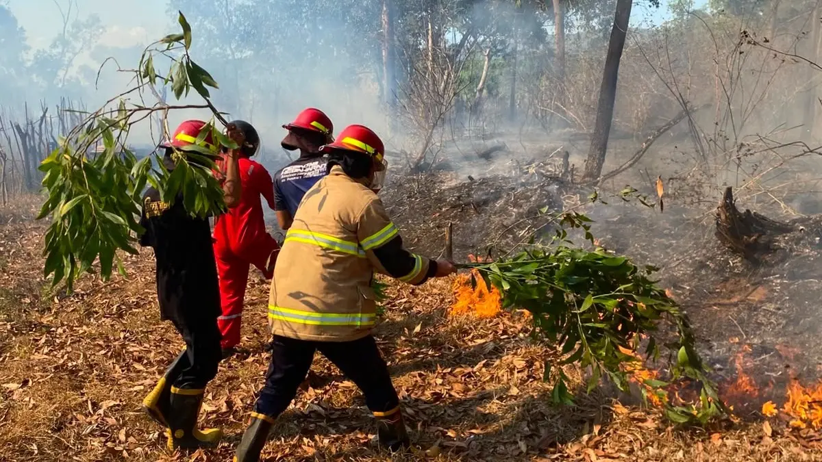 RAWAN KARHUTLA: Kebakaran hutan dan lahan di Pacitan meningkat selama musim kemarau dengan enam kejadian ditangani hingga pertengahan Agustus. (Istimewa)