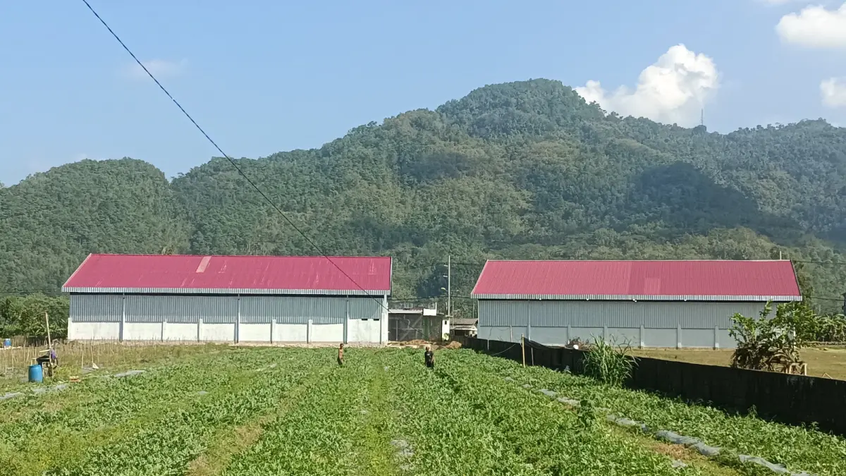 BELUM MERATA: Pembangunan gerai Koperasi Desa Merah Putih di Pacitan belum menjangkau lima desa karena terkendala persyaratan lahan. (Nur Cahyono/Jawa Pos Radar Pacitan)